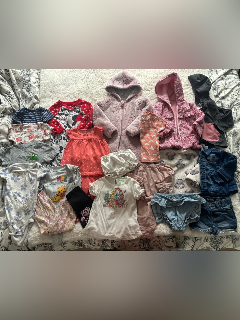 Mixed Brands Little Girls Clothing Bundle Lot Size 18 Months